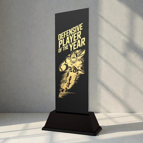 Shadowline American Football Defensive Player of the Year – Stainless Steel Award