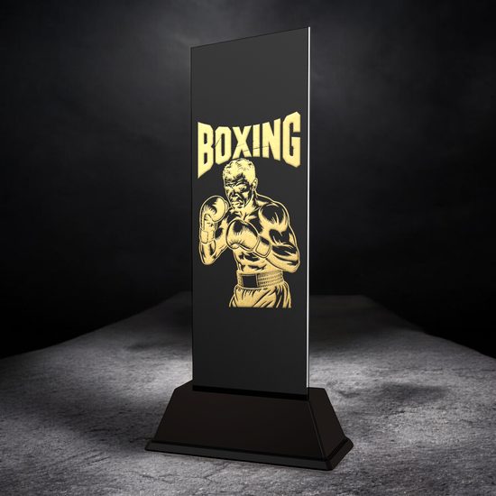 Shadowline Male Boxing Trophy – Stainless Steel Award