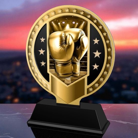 Sentinel Classic Stainless Steel Boxing Trophy