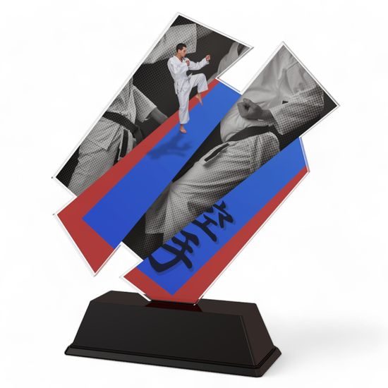 Paris Martial Arts Blue and Red Trophy