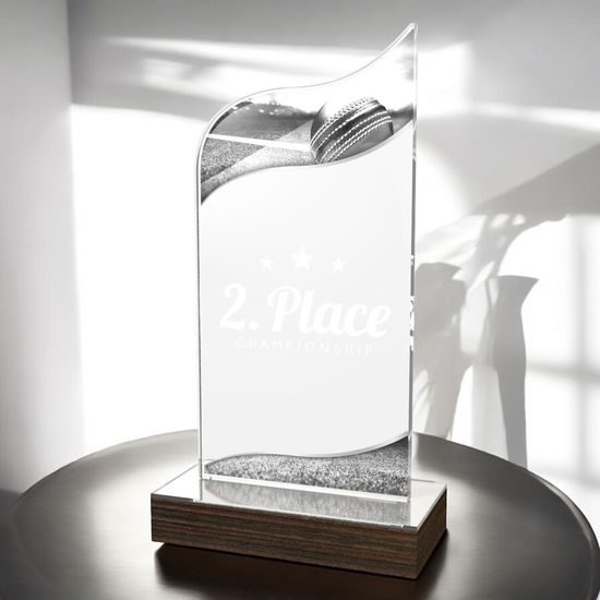 United Cricket Acrylic Wood Fusion Trophy