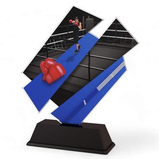 Paris Boxing Trophy