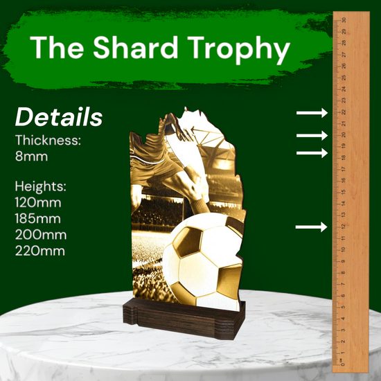 Shard Classic Football Eco Friendly Wooden Trophy