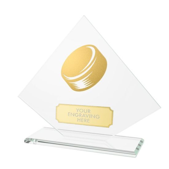 Vanguard Glass and Metal Fusion Ice Hockey Trophy