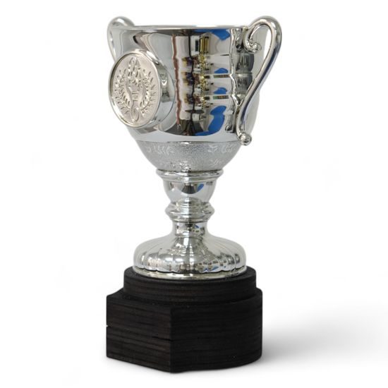 Beacon Silver Logo Cup