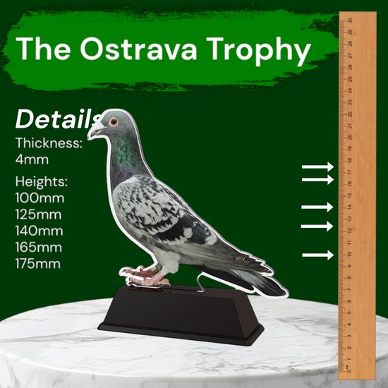 Ostrava Pigeon Trophy