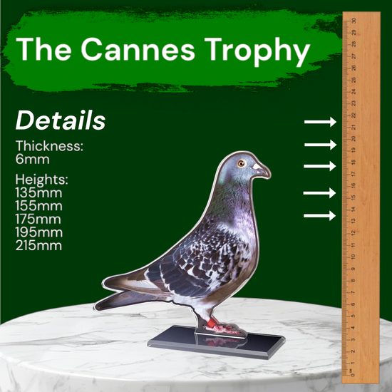 Cannes Pigeon Trophy