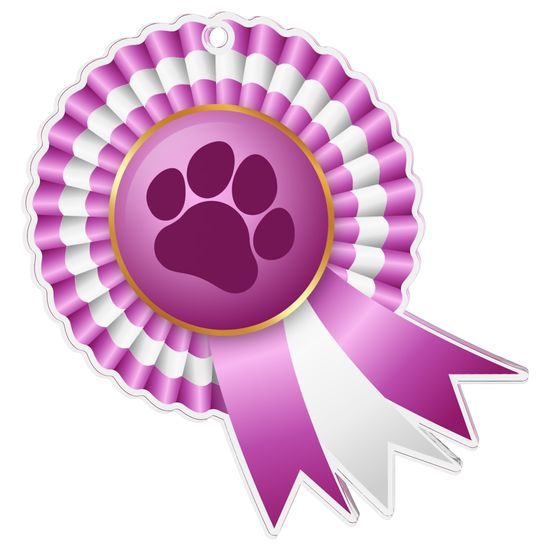 Paw Print Rosette Pink Medal