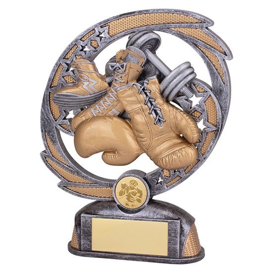 Sonic Boom Boxing Trophy