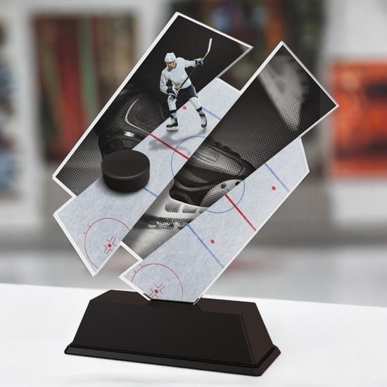 Paris Ice Hockey Trophy