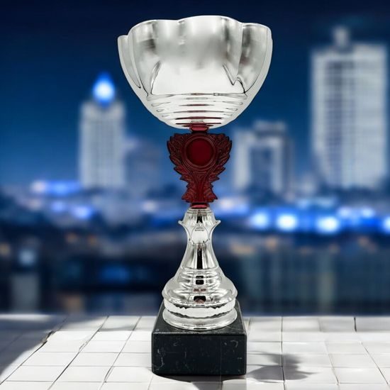 Cursitor Silver and Maroon Logo Insert Cup