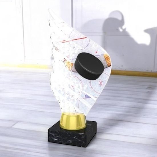 Foxton Ice Hockey Trophy