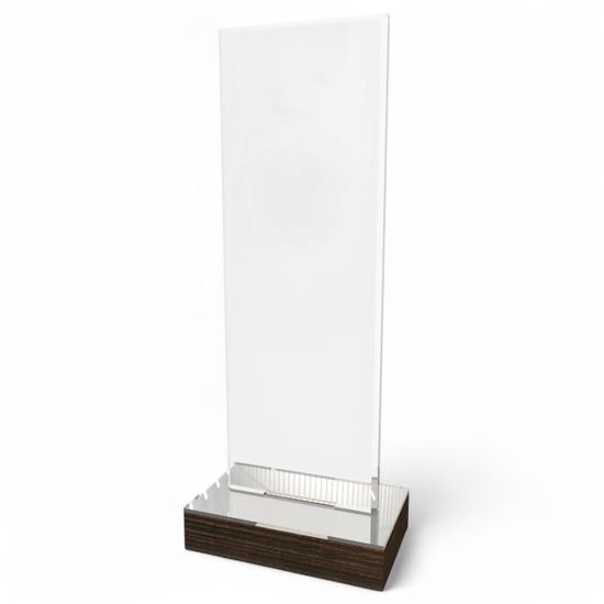 Orion Acrylic and Wood Fusion Award