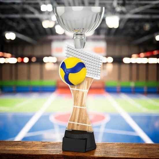 Montreal Volleyball Silver Cup Trophy