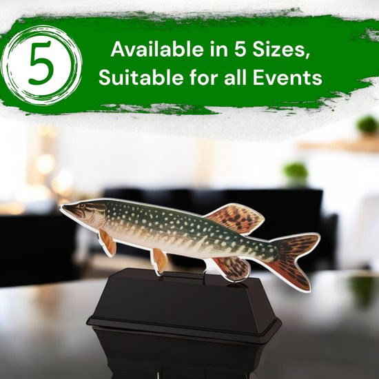 Ostrava Trout Fish Trophy