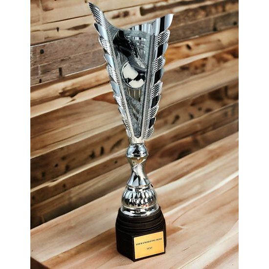 Chester Football Silver Trophy