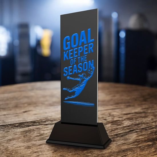 Shadowline Football Female Goalkeeper of the Season Trophy – Stainless Steel Award