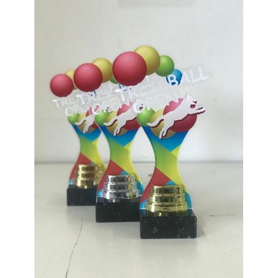 Volta Custom Made Acrylic Award