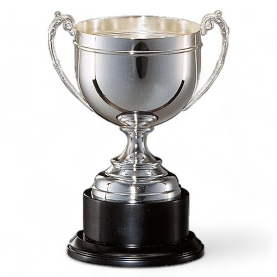 Somerset Silver Plated Metal Cup