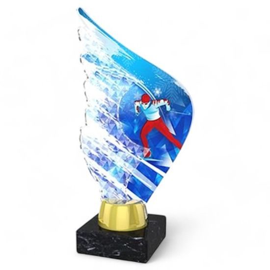 Foxton Cross Country Skiing Trophy