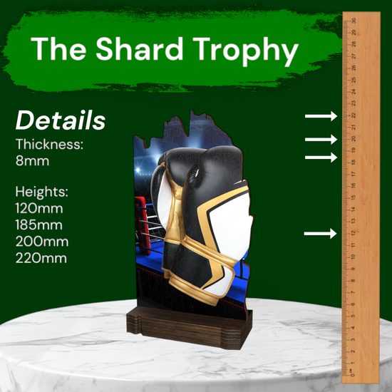 Shard Boxing Eco Friendly Wooden Trophy