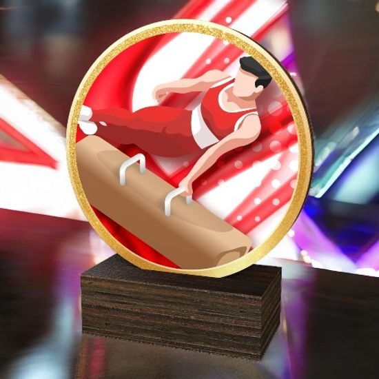 Holt Colour Male Gymnastics Real Wood Trophy