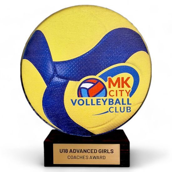 Kiraly Custom Made Real Wood Volleyball