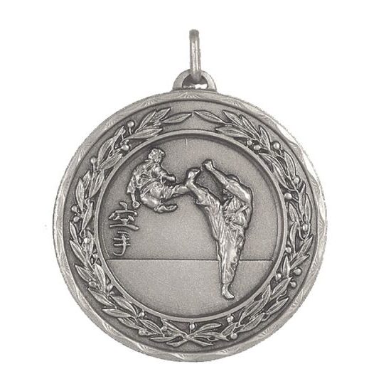 Laurel Karate Silver Medal