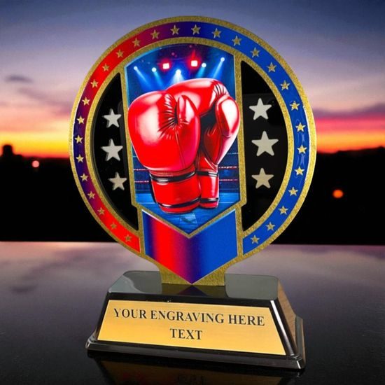 Sentinel Stainless Steel Boxing Trophy