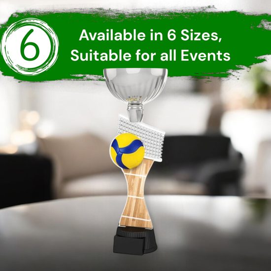 Montreal Volleyball Silver Cup Trophy