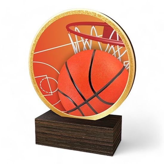 Holt Colour Basketball Real Wood Trophy