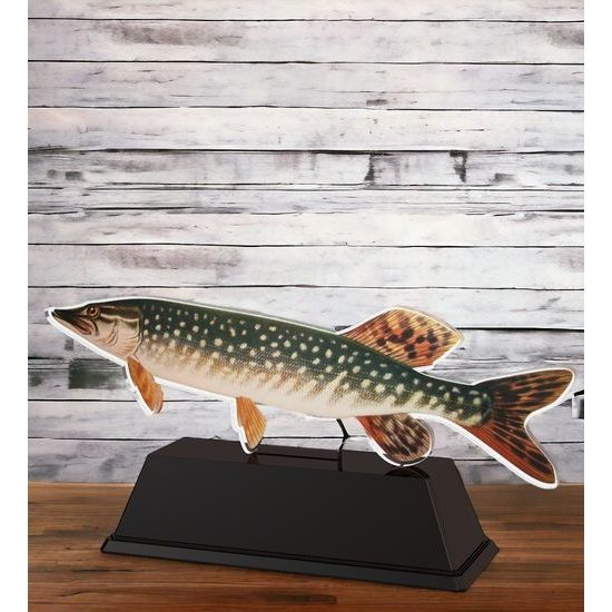 Ostrava Trout Fish Trophy