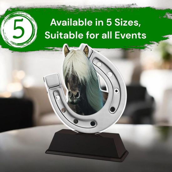 Ostrava Silver Horse Shoe Trophy