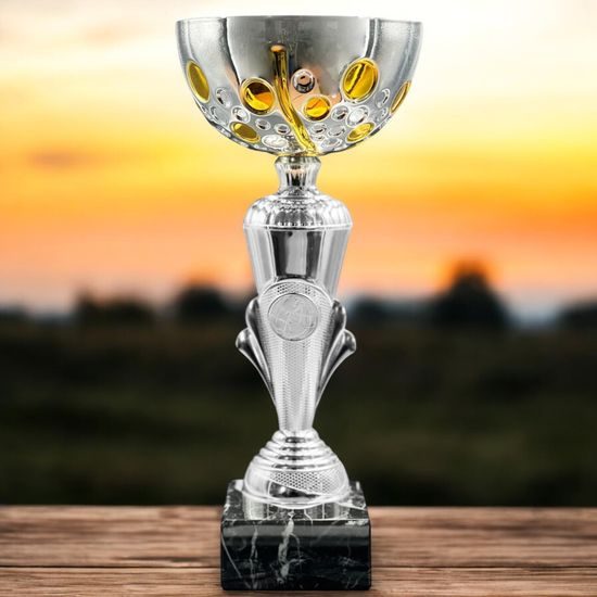 Westbury Silver and Gold Cup