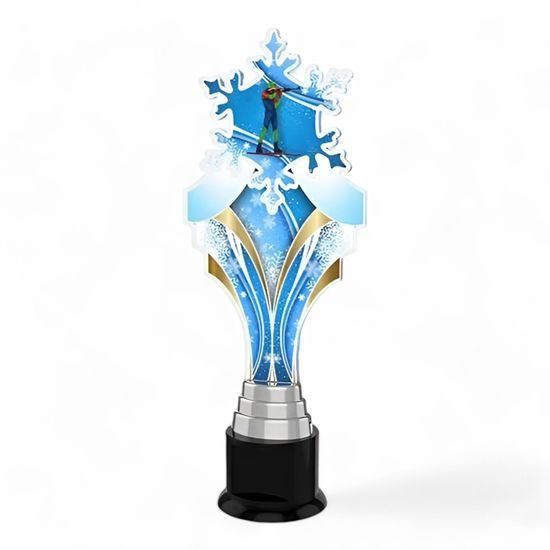 Verbier Biathlon Shooting Snowflake Trophy