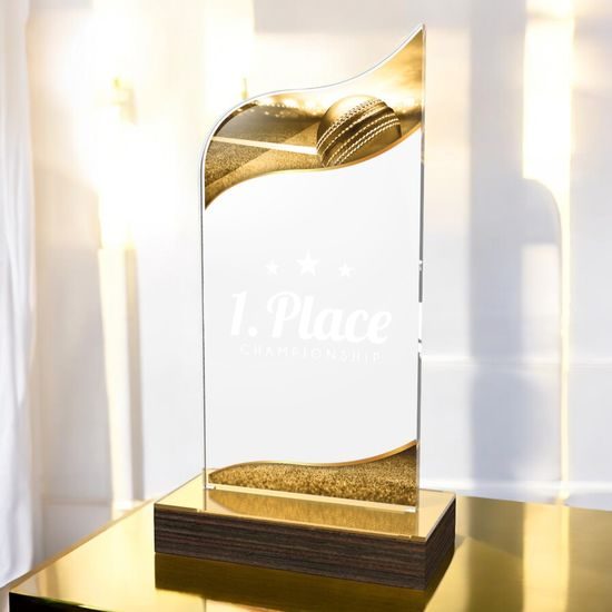 United Cricket Acrylic Wood Fusion Trophy