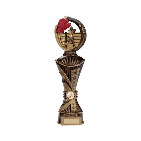 Renegade All Star Boxing Trophy