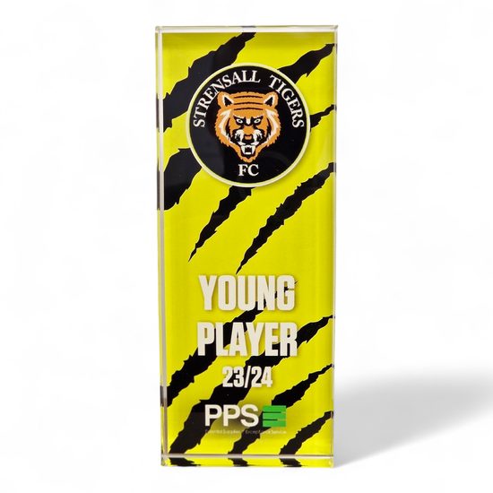 Custom Printed Block Acrylic Award