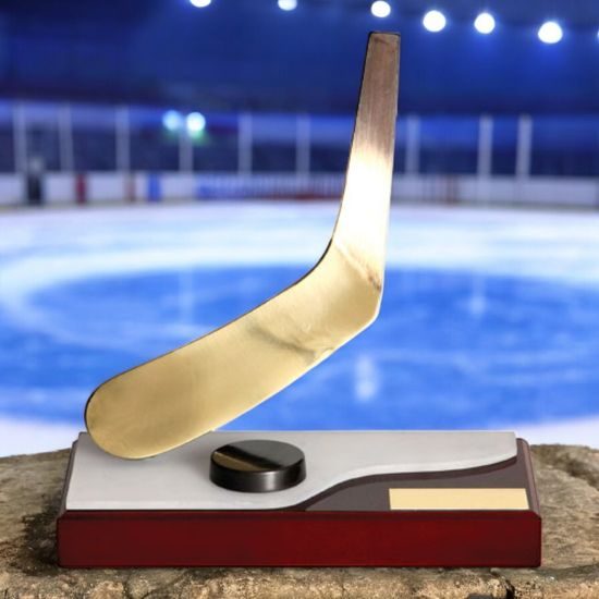 Aragon Ice Hockey Handmade Metal Trophy