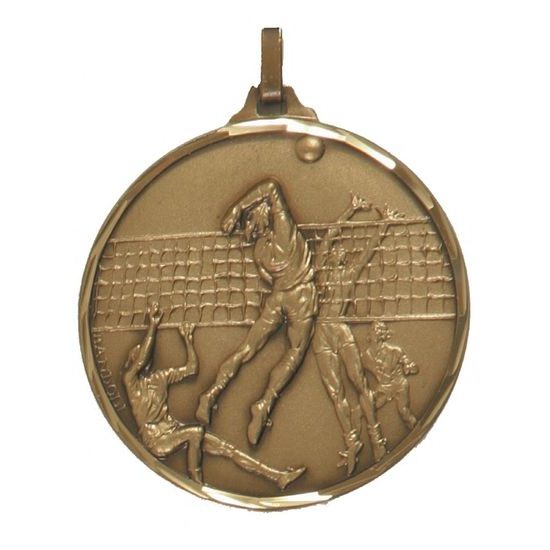 Diamond Edged Volleyball Bronze Medal