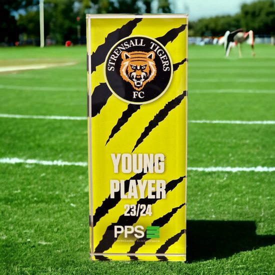 Custom Printed Block Acrylic Award