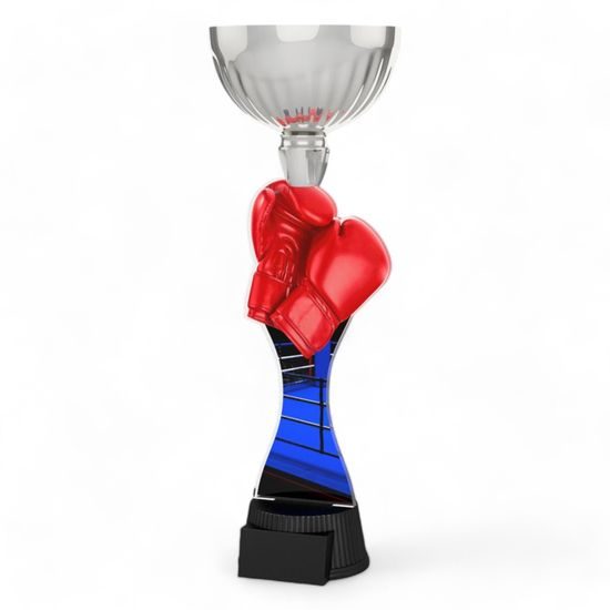 Montreal Boxing Gloves Silver Cup Trophy