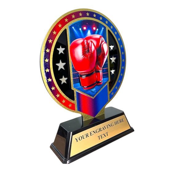 Sentinel Stainless Steel Boxing Trophy