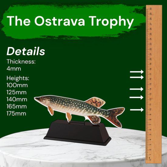 Ostrava Trout Fish Trophy