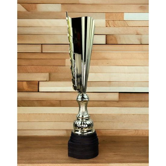 Chester Football Gold Trophy