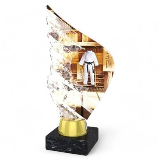 Foxton Martial Arts Trophy