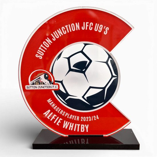 Tesla Landscape Custom Made Acrylic Award