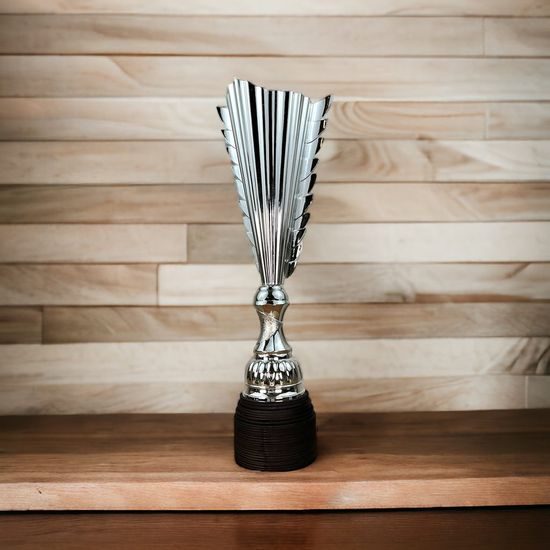 Chester Male Gymnastics Silver Trophy