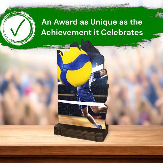 Shard Volleyball Eco Friendly Wooden Trophy