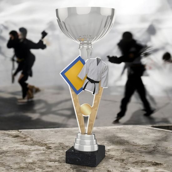 Napoli Martial Arts Silver Trophy Cup